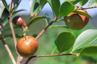 bevictor伟德官网