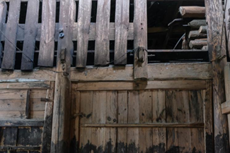 bevictor伟德官网