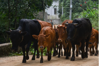 bevictor伟德官网