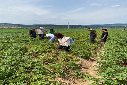 bevictor伟德官网