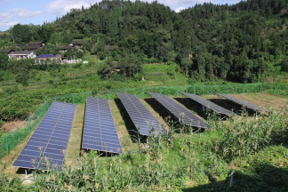 bevictor伟德官网