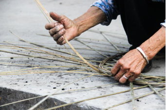 bevictor伟德官网