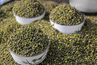 bevictor伟德官网