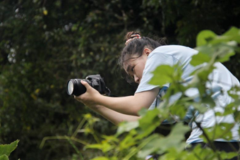 bevictor伟德官网