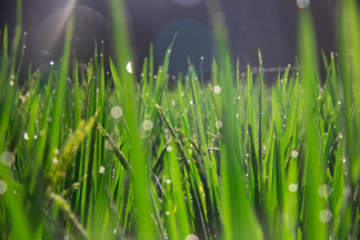 bevictor伟德官网