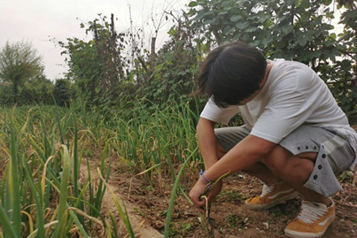 bevictor伟德官网