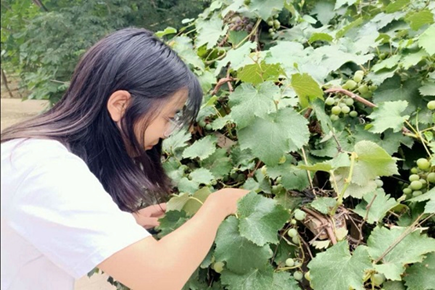 bevictor伟德官网