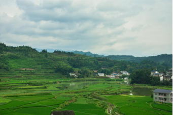 bevictor伟德官网