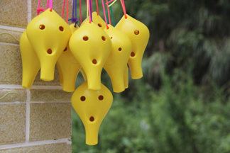 bevictor伟德官网