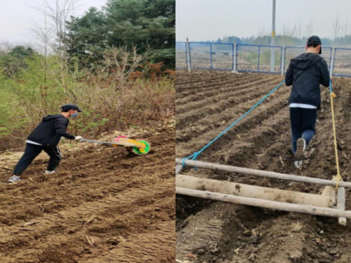 bevictor伟德官网