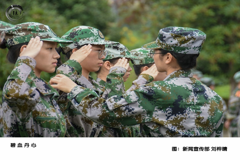 bevictor伟德官网