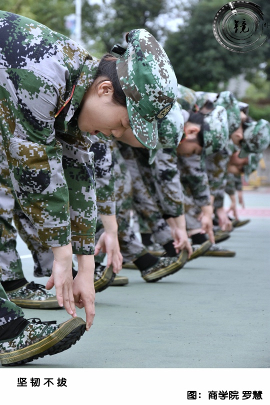 bevictor伟德官网