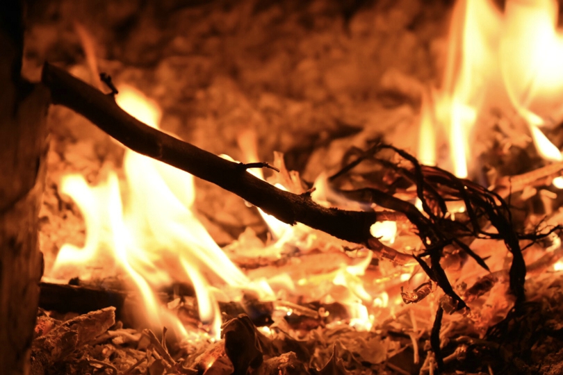 bevictor伟德官网