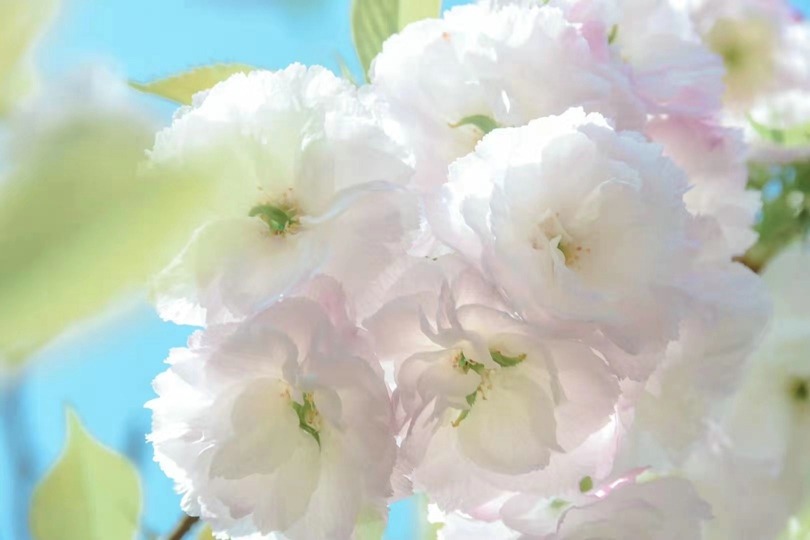 bevictor伟德官网