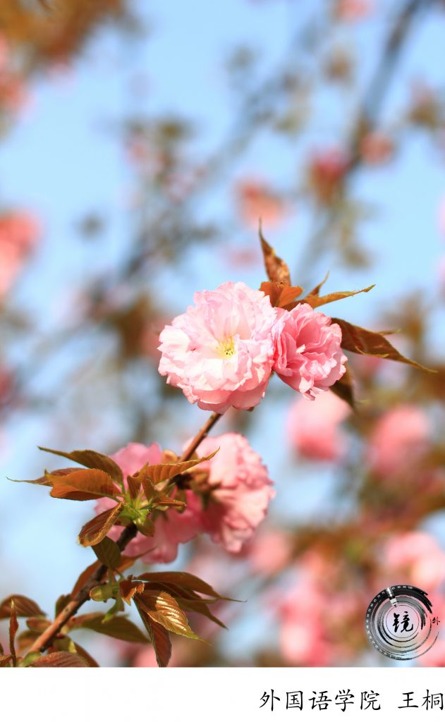 bevictor伟德官网