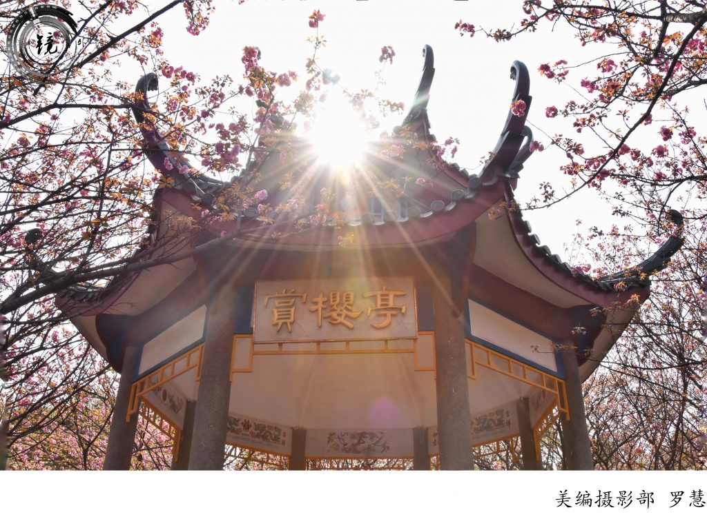 bevictor伟德官网