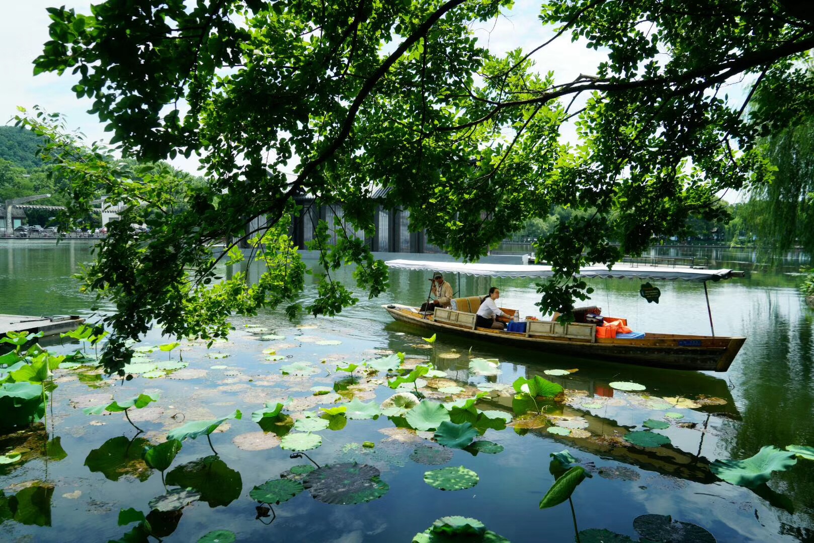 bevictor伟德官网