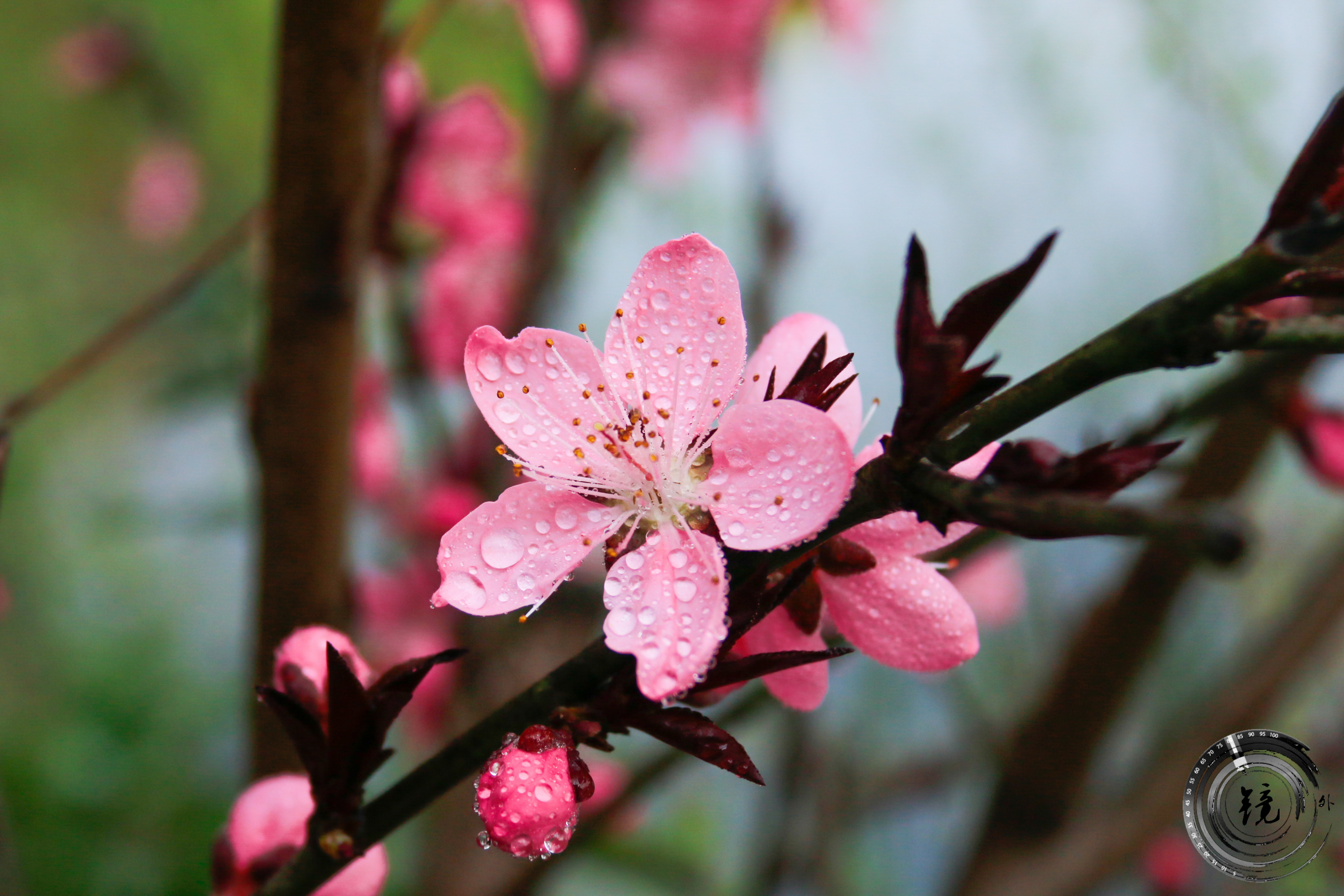 bevictor伟德官网