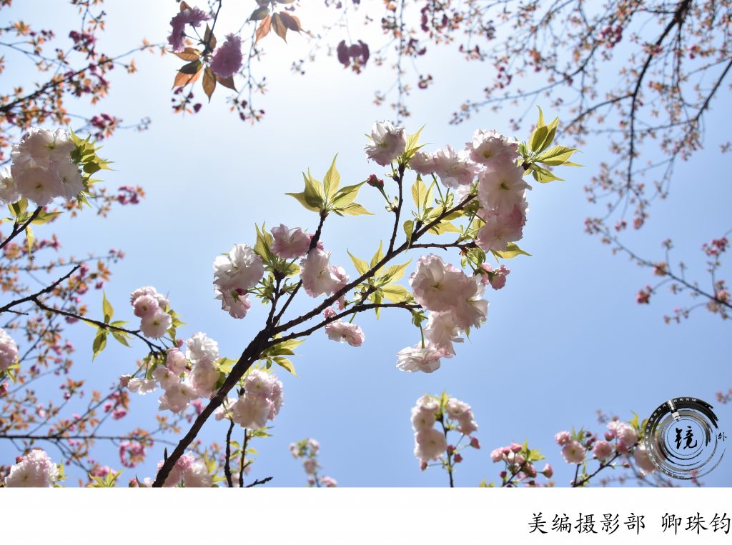 bevictor伟德官网