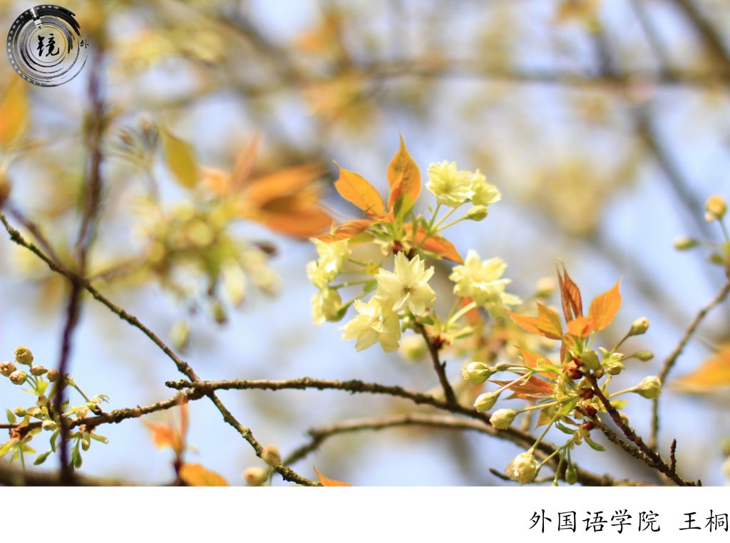 bevictor伟德官网