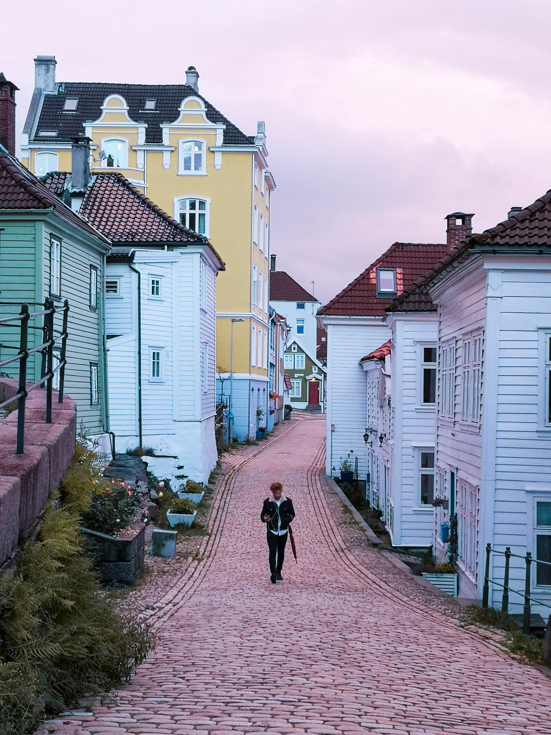 bevictor伟德官网