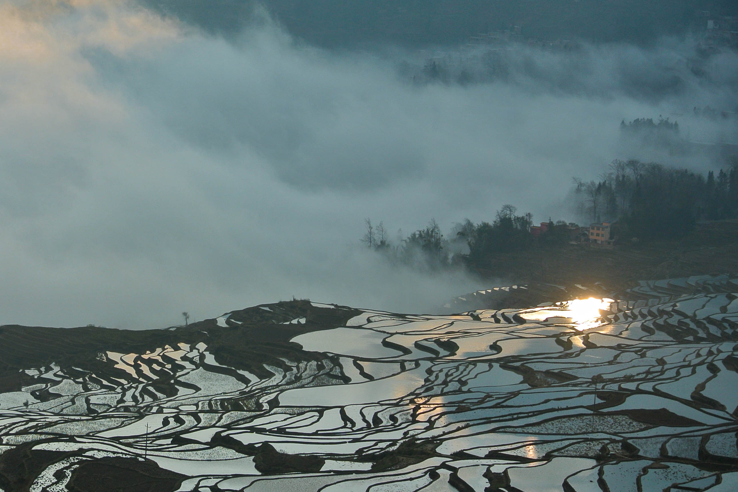 bevictor伟德官网