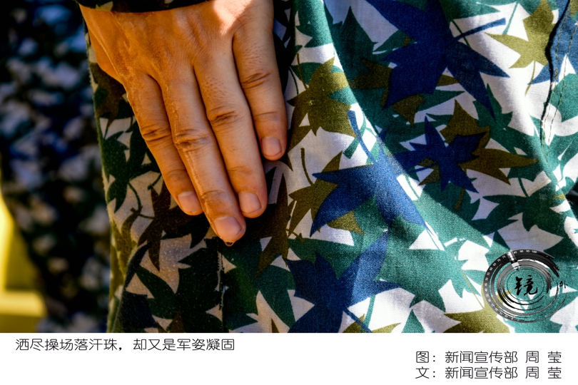 bevictor伟德官网