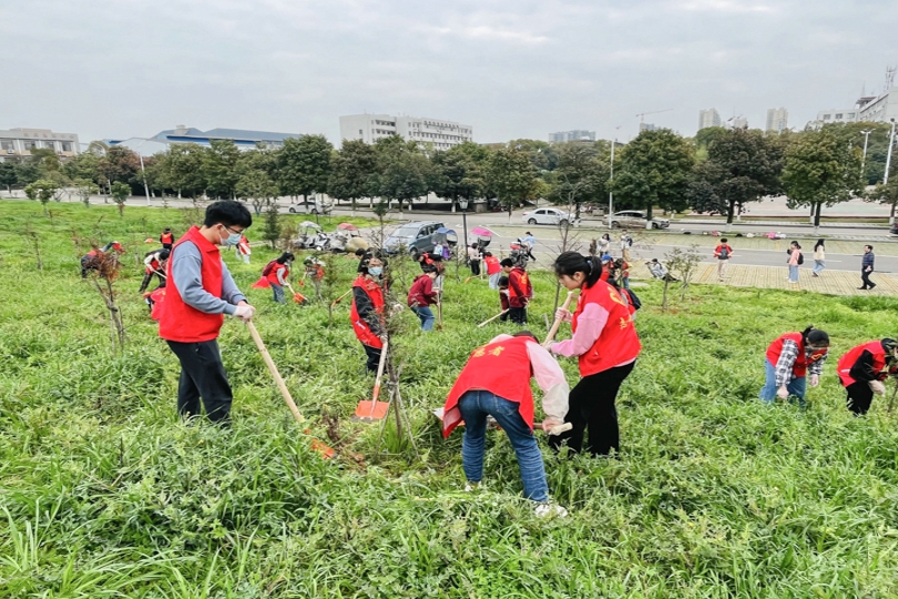 bevictor伟德官网