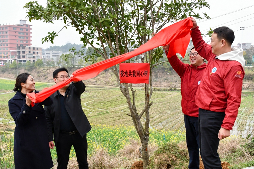 bevictor伟德官网