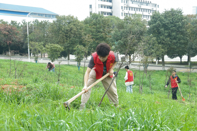 bevictor伟德官网