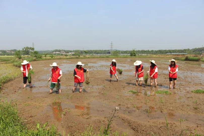 bevictor伟德官网