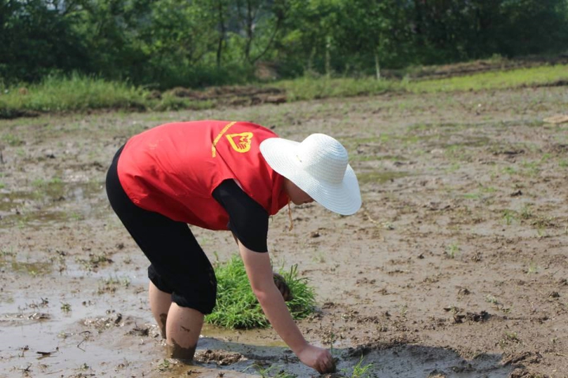 bevictor伟德官网