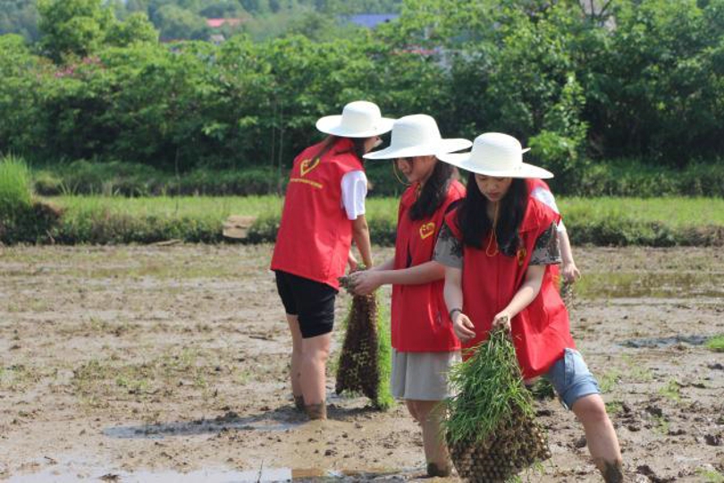 bevictor伟德官网