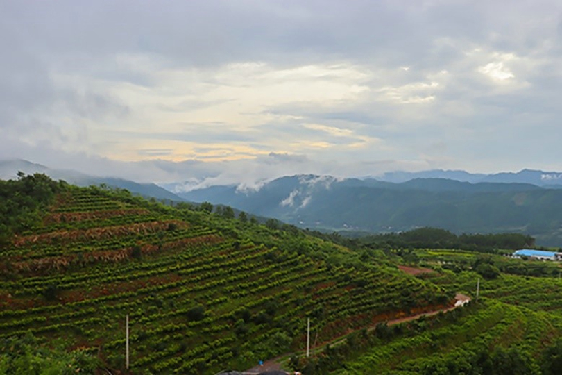 bevictor伟德官网