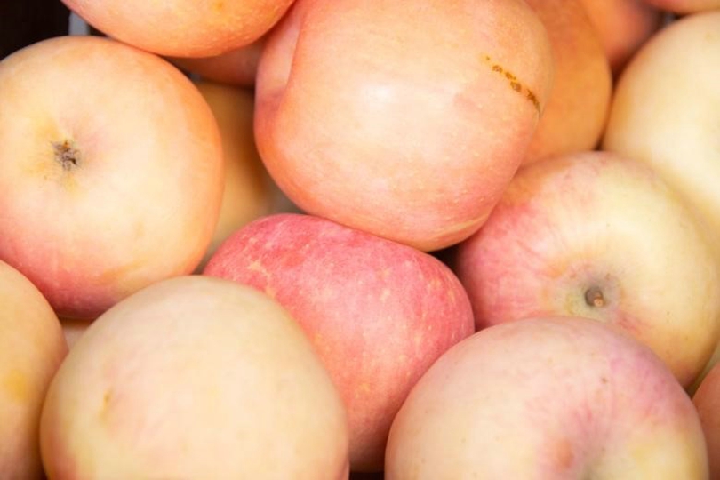 bevictor伟德官网