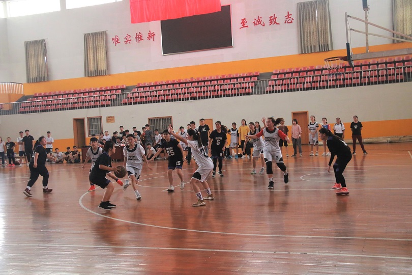 bevictor伟德官网