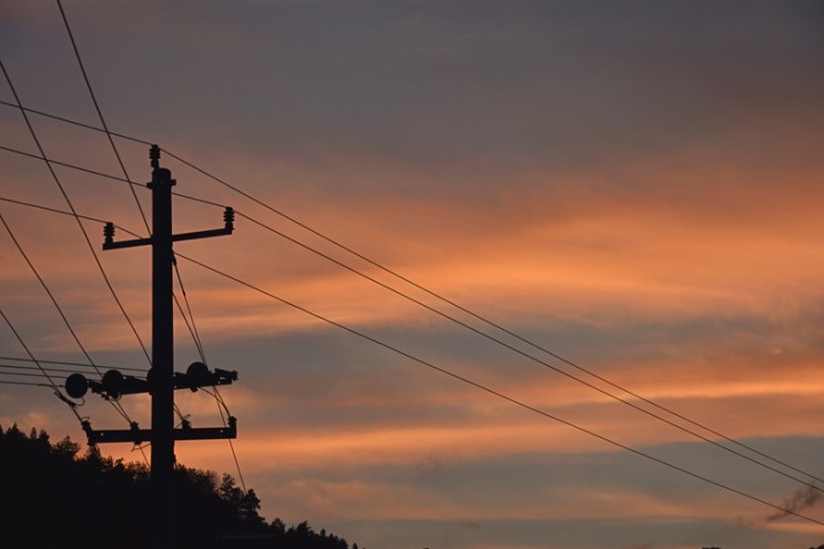 bevictor伟德官网