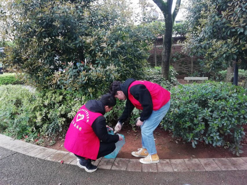 bevictor伟德官网