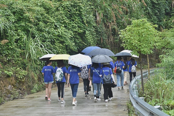 bevictor伟德官网