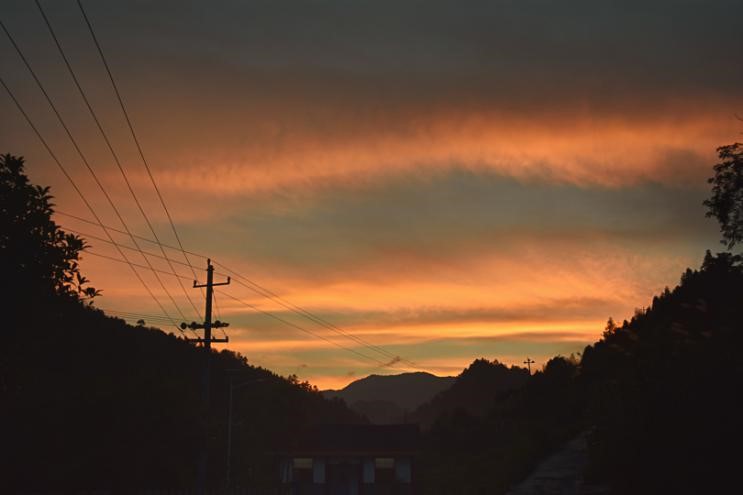 bevictor伟德官网