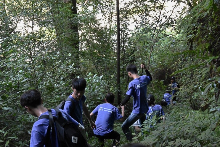 bevictor伟德官网