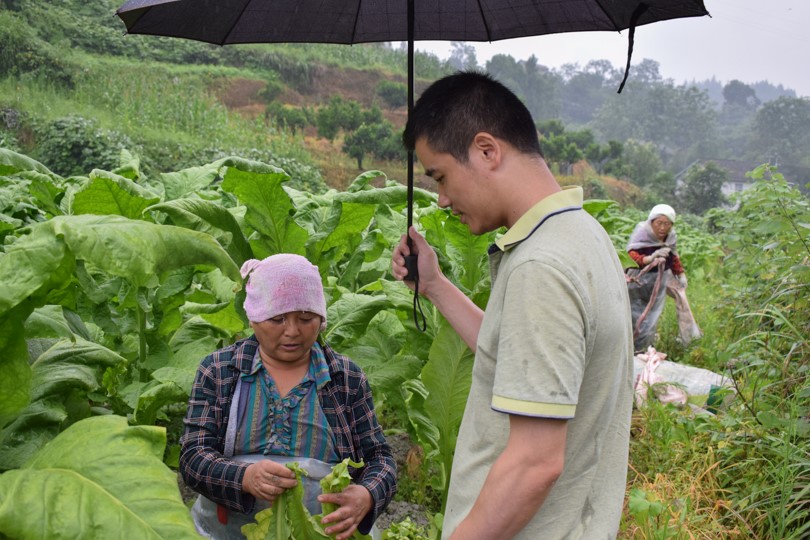 bevictor伟德官网