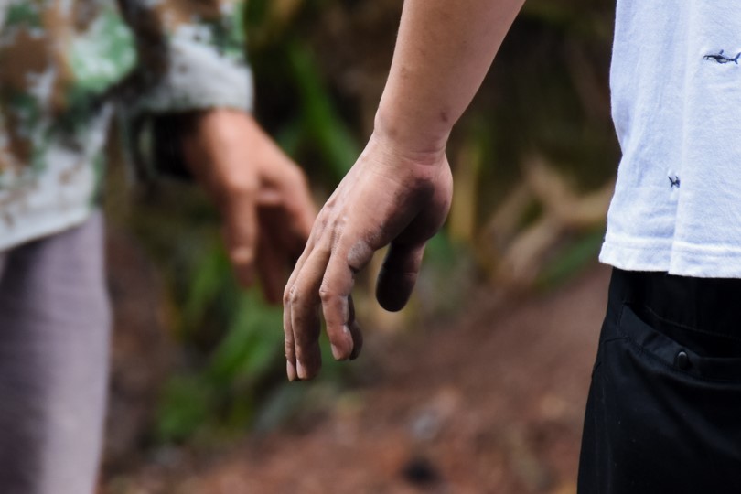 bevictor伟德官网