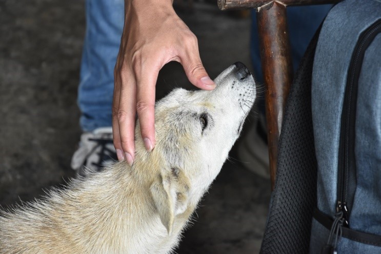 bevictor伟德官网