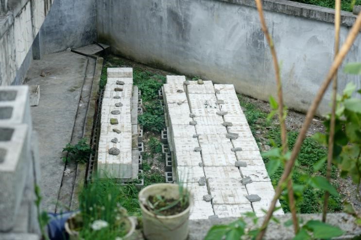 bevictor伟德官网