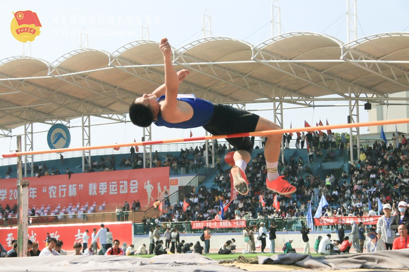 bevictor伟德官网