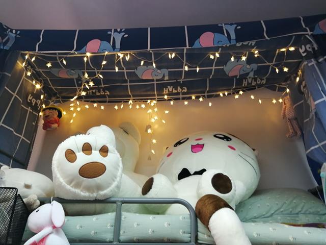 bevictor伟德官网