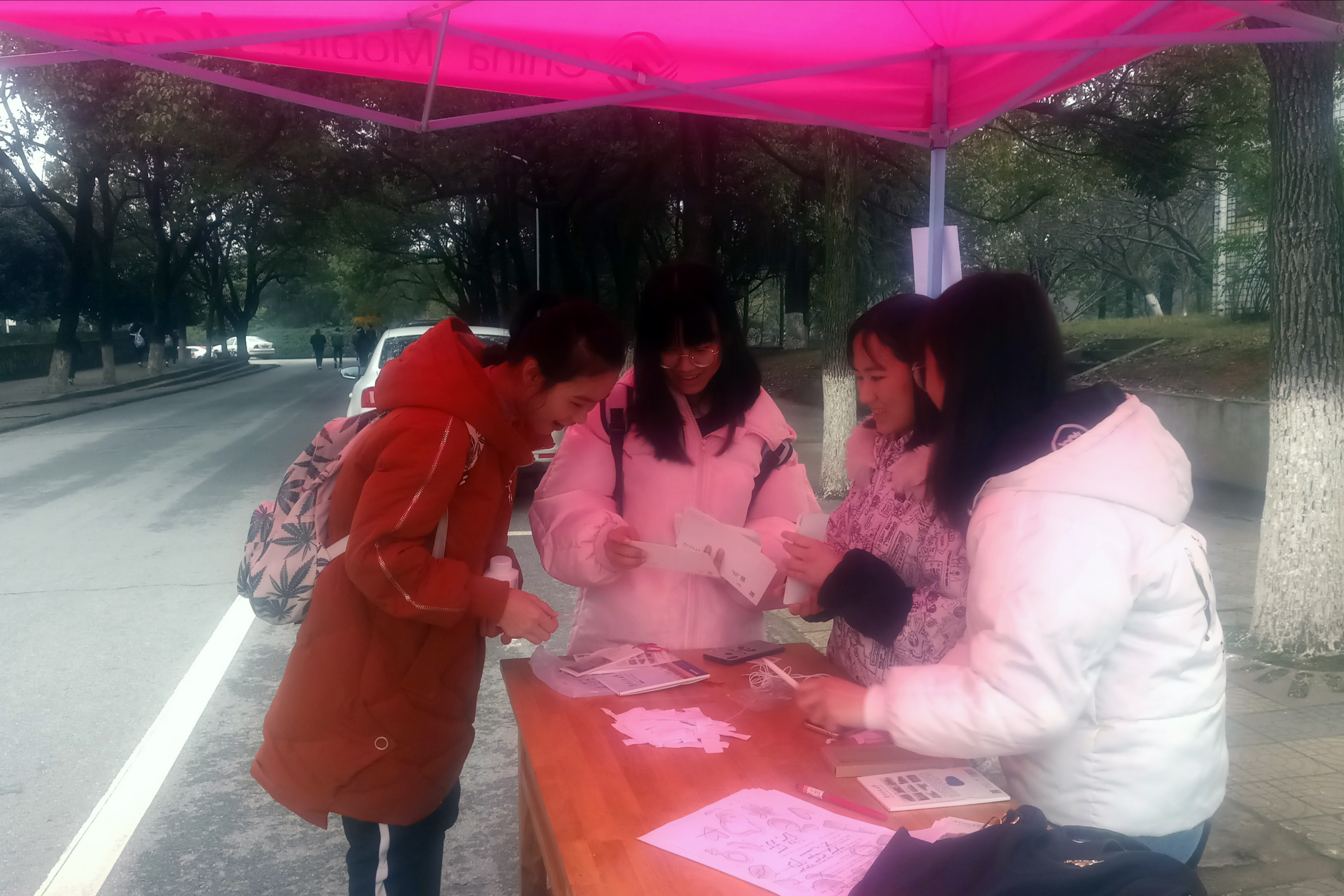 bevictor伟德官网