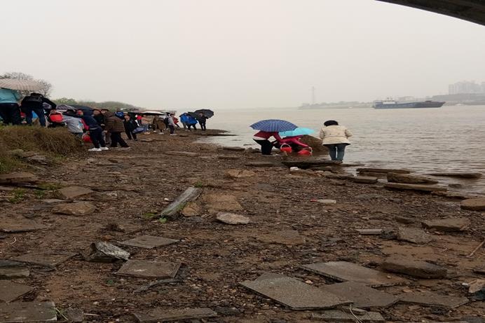 bevictor伟德官网