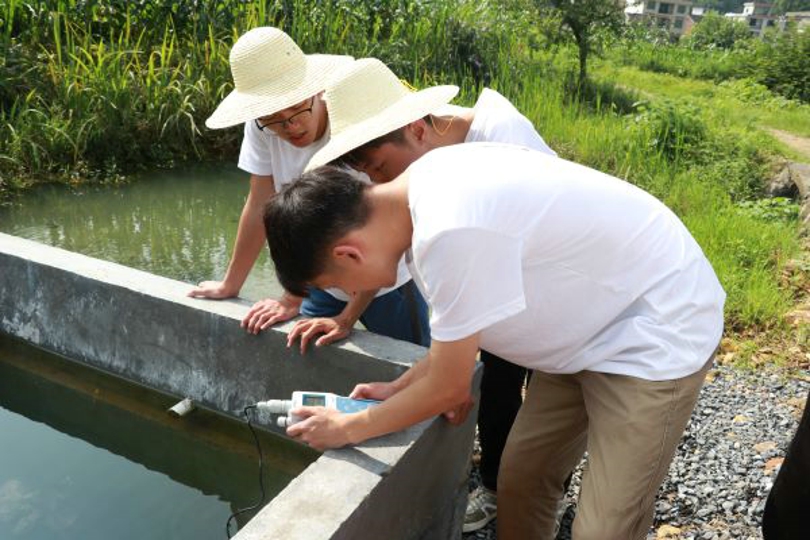 bevictor伟德官网